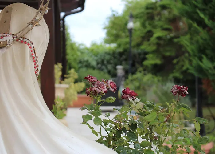 בית הארחה La Madonnina סן ג'יואבאני רוטונדו