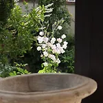 게스트하우스 La Madonnina 3*