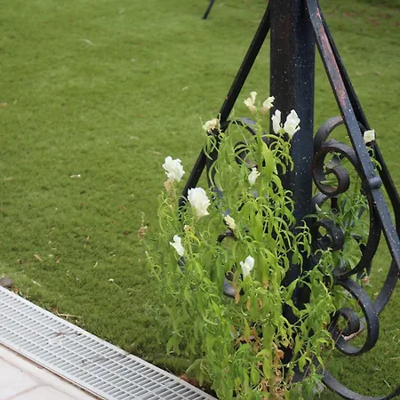 La Madonnina San Giovanni Rotondo